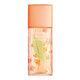 Elizabeth Arden Green Tea Nectarine Blossom Toaletná voda - Tester