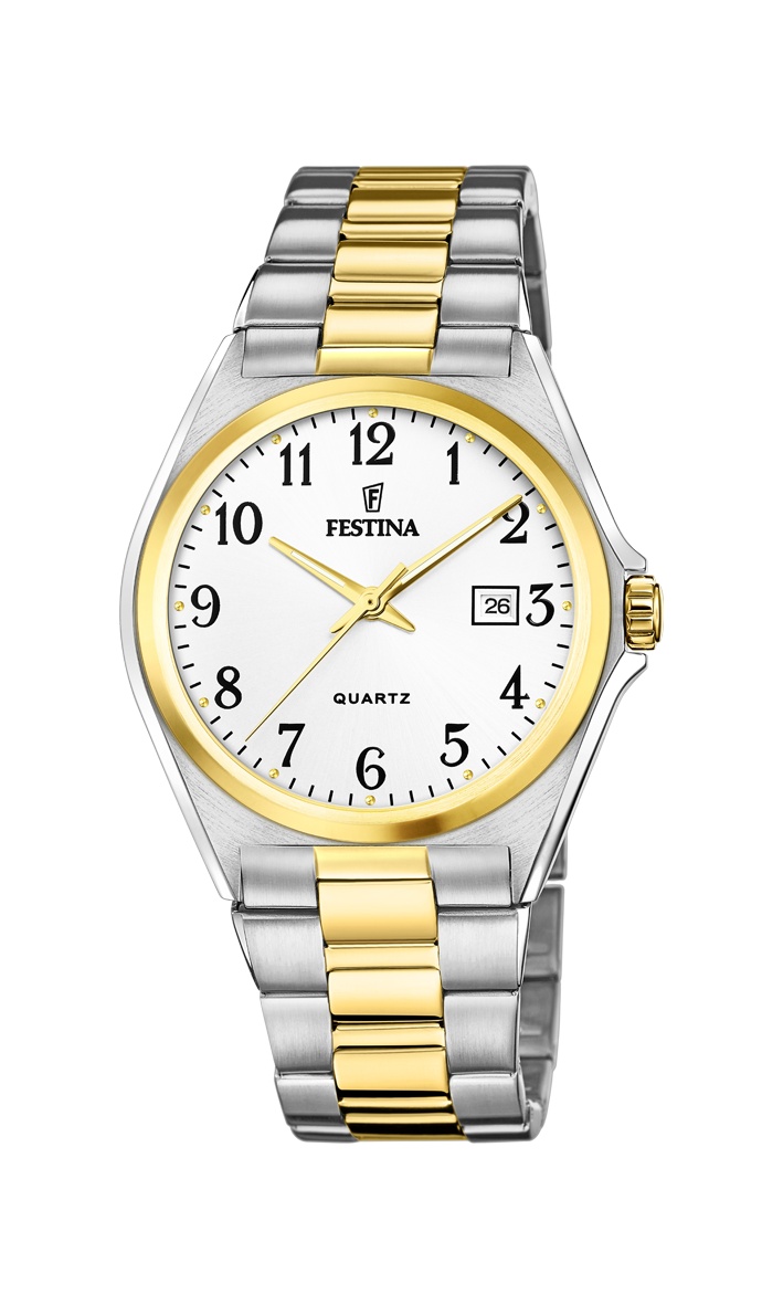 FESTINA 20554/1