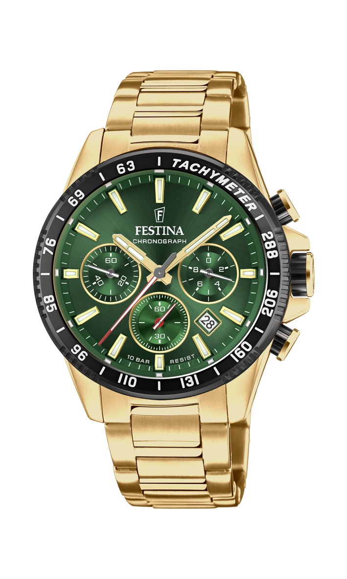 FESTINA 20634/4