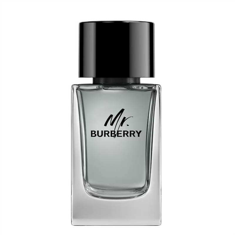 Burberry Mr. Burberry for Men Eau de toilette Toaletná voda