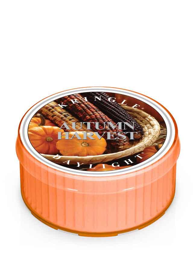 Kringle Candle Autumn Harvest vonná sviečka (35 g)