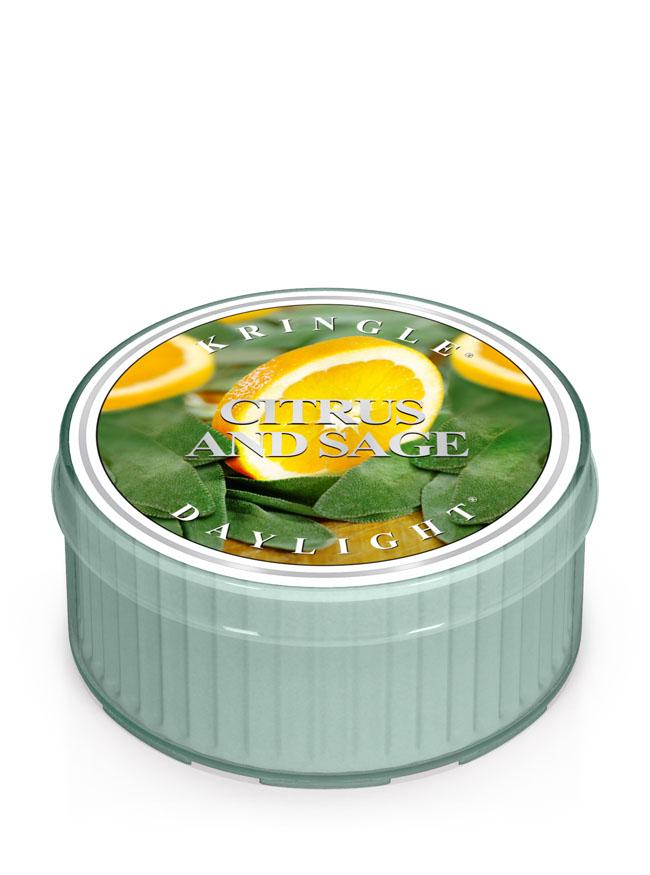 Kringle Candle CITRUS & SAGE vonná sviečka (35 g)