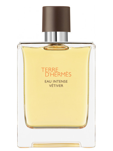 Hermes Terre D'Hermes Eau Intense Vetiver Parfémovaná voda